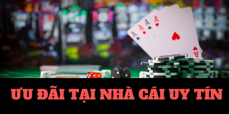 Cai Keo Nha - House Odds Bookmaker Cai Keo Nha - House Odds Bookmaker